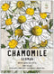 Seed Needs, German Chamomile Seeds - 500 Heirloom Seeds for Planting Matricaria recutita - Medicinal Herb for Indoor/Outdoor Gardens, Non-GMO & Un...