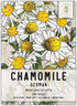 Seed Needs, German Chamomile Seeds - 500 Heirloom Seeds for Planting Matricaria recutita - Medicinal Herb for Indoor/Outdoor Gardens, Non-GMO & Un...