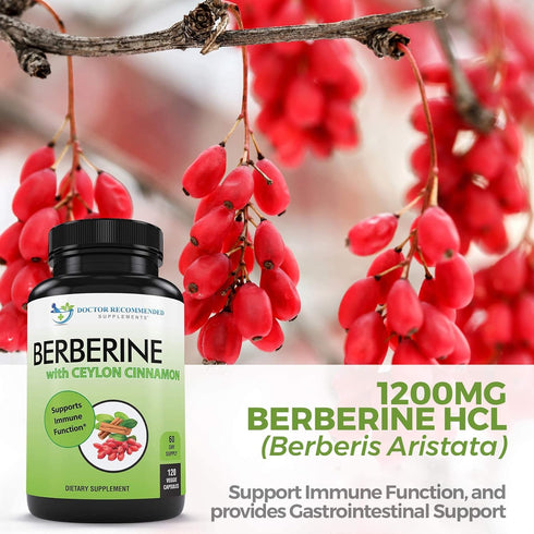 DOCTOR RECOMMENDED SUPPLEMENTS Berberine with Ceylon Cinnamon - 1200mg Berberine & 100mg Organic Ceylon Cinnamon - 120 Veggie Capsules, Healthy Im...
