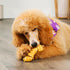 American Sourced Beefhide Bones 6-7" Dog Chew Treats - Chicken Flavor, 3 Count/1 Pack...