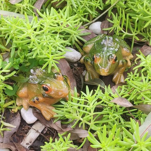 4 PCS Miniature Frog Statue, Outdoor Garden Frog Figurines Decoration, Mini Cute Frog Figures for Patio Yard Micro Landscape Fairy Garden Ornament...