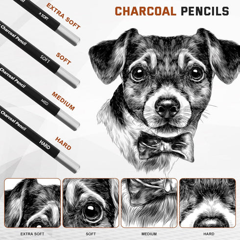 Geyoga 36 Pcs Professional Charcoal Pencils Extra soft, Soft, Medium, Hard, White, Brown for Drawing Charcoal Pencils Drawing Set Pastel Pencils A...