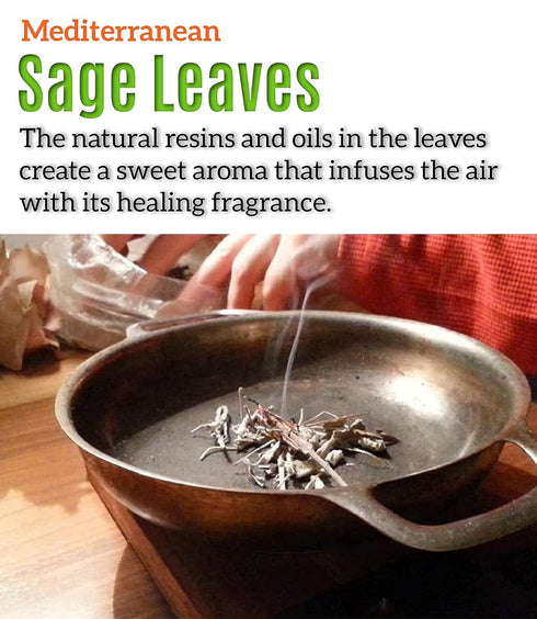 Arselia Dried Sage Leaves | Premium Wild Sage | Whole Sage Spices | Meditteranean Sage Leaf | Sage Tea | Cooking & Smudge Sage | All Green 3 ounce...