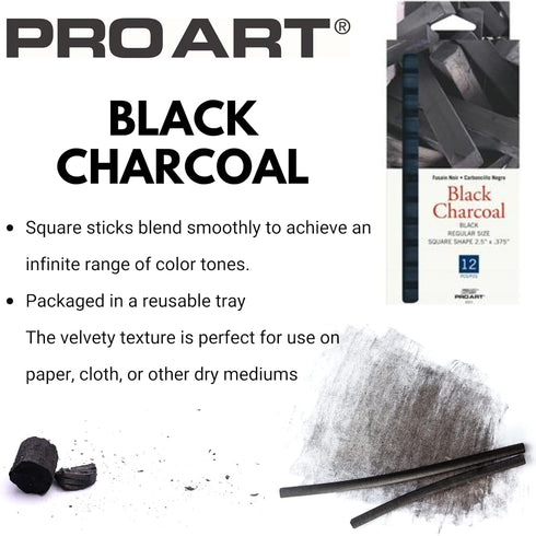 Pro Art Charcoal Set, 12 Count (Pack of 1), Black Piece...