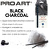 Pro Art Charcoal Set, 12 Count (Pack of 1), Black Piece...