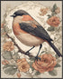 Posterizer 1 pcs- beautiful black and white bird with wild red flowers-Art for Animal Lovers-Floral Botanical Art-Gift for Men Women Teens-Living ...