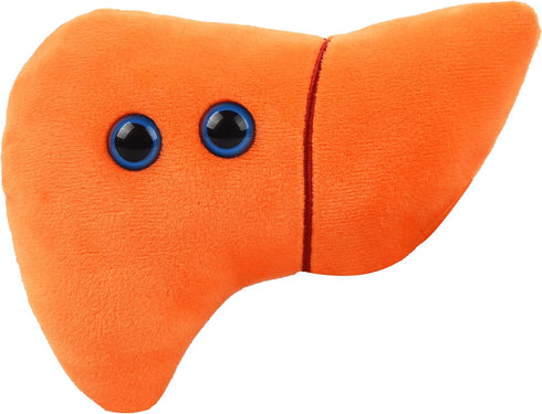 GIANTmicrobes Stuffed Liver Plush, Liver Stuffed Animal, Anatomical Liver, Hepatologist Gift, Liver Transplant Gifts, Hepatitis Gift, Hepatology G...