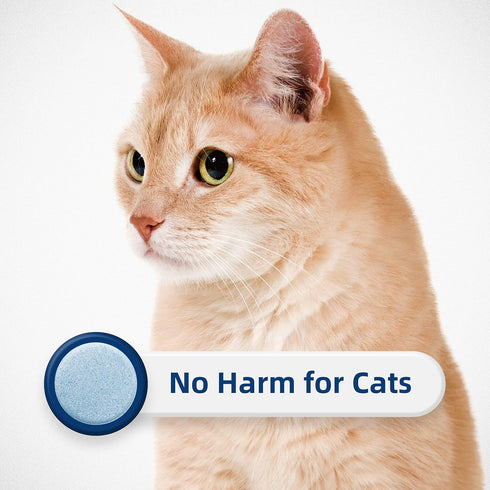 HONEY CARE All-Absorb Cat Litter Odor Eliminator Tablets ? Refresh Smell Long-Lasting Scent Away - Jasmine Fragrance (10pcs/Box=4-10 Weeks), Blue...