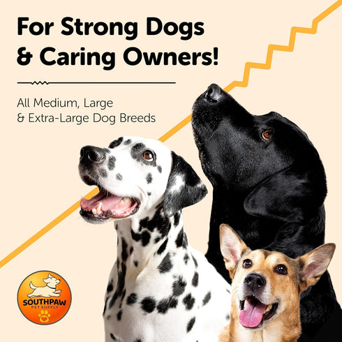 Shock Absorbing Bungee Dog Leash 4-7 ft. for Golden Retreivers with Seatbelt Buckle and Comfortable Padded Handle, Highly Reflective Extendable He...