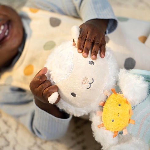 Ingenuity Calm Springs Plush Activity Pal BPA-Free Cloud Teether, Multi-Texture Fabrics, Sheppy...
