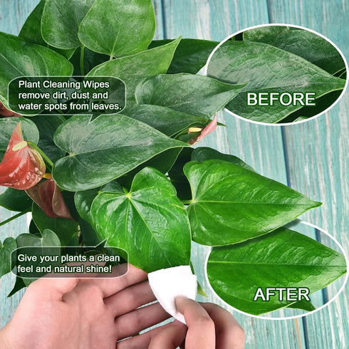 Plants Cleaning Wipes for Leaf Shine, Clean and Photosynthesis, Leaf Cleaner for House Plants Outdoor Plants (80 Wipes)...