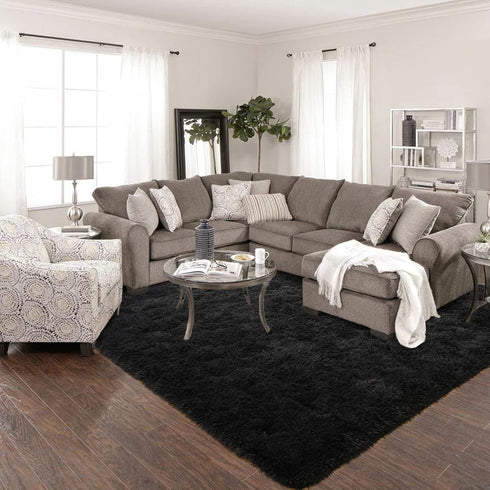 ISEAU Ultra Soft Fluffy Rug for Bedroom, 3 x 5 Feet Shaggy Area Rugs for Living Room Fuzzy Carpet Comfy Nursery Mat Bedside Carpets for Kids Boys ...