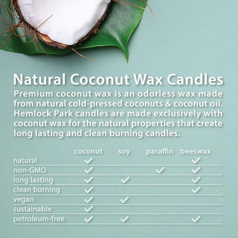 Hemlock Park Crackling Wood Wick Candle Handcrafted with Natural Coconut Wax (Standard 8 oz, Bergamot Cedar)...