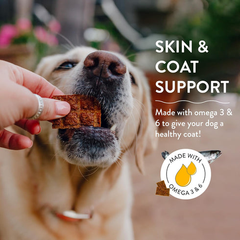 Shameless Pets Jerky Dog Treats, Salmon Loves Butternut - Healthy Dog Chews for Dogs Skin & Coat with Omega 3 & 6 - Dog Treats with Real Wild-Caug...