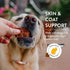 Shameless Pets Jerky Dog Treats, Salmon Loves Butternut - Healthy Dog Chews for Dogs Skin & Coat with Omega 3 & 6 - Dog Treats with Real Wild-Caug...