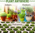 17 Herb Culinary Seed Vault - 5200+ Herbs Seeds for Planting Indoor or Outdoor Garden - Heirloom, Non GMO | Hydroponic Herb Garden Seeds with High...