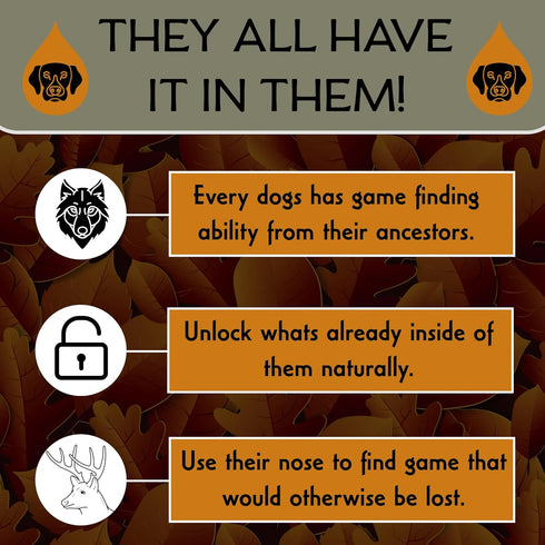 DogBone BloodTrail Scent for Tracking Dog Training | Dog Training Kit | Hunting Dog Accessories | Dog Scent Training Kit | Deer Hunting Accessorie...