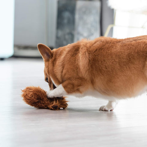 Star Wars for Pets Plush Chewbacca Flattie Dog Toy | Soft Star Wars Toys for Dogs, Brown, Large - 9" | Cute Dog Toy, Squeaky Dog Chew Toy for Pets...