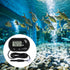 2Pcs Aquarium Thermometer Fish Tank Thermometer Reptile Thermometer Terrarium Water Temperature Test Digital Thermometer with LCD Display Fahrenhe...