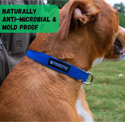 Pawsitive Hemp Dog Collar - Green Dog Collar - We Donate a Collar for Every Collar Sold. Help a shelter in Need! Solid Color Adjustable Collar Gre...