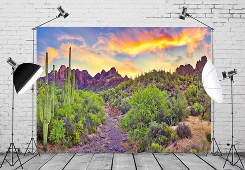 BELECO 7x5ft Fabric National Park Arizona Desert Backdrop Fire-Like Sky Mountain Landscape Green Plants Saguaro Cactus Photography Background West...