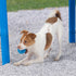 Best Pet Supplies Squeaky Tennis Toys for Dogs, 8-Pack, Heavy-Duty Interactive Pet Toys for Throwing and Fetching, Supports Exercise and Natural B...