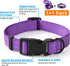 Mile High Life | Reflective Dog Collar Leash Set | Small Dog Collar Leash Set | Medium Dog Collar Leash Set | Adjustable Collar Leash Set (Reflect...