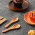 6 Pcs Small Wooden Spoons, 3.7 Inch Tiny Spoons for Spices Jars Mini Wooden Condiment Spoons Wood Teaspoon for Sauces, Salt, Sugar, Honey, Pepper,...