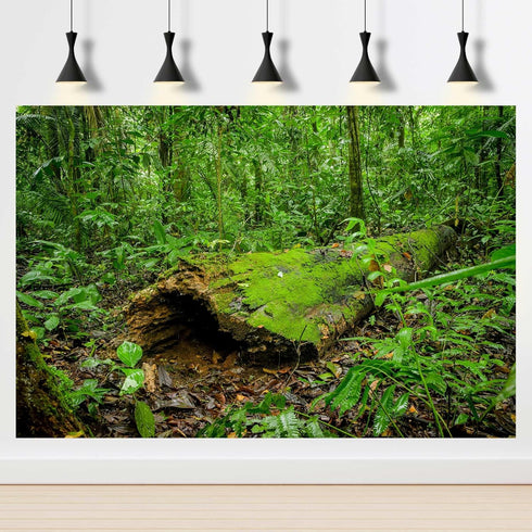 Forest Terrarium Background Huge Tropical Trees Reptile Habitat Background Rainforest Aquarium Background Fish Tank Backdrop Decors Forest Moss De...