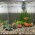 Artificial Fish Tank Plants Silk Aquarium Plant Aquatic Water Grass Foreground Decor (3PCS Green Grasses)...