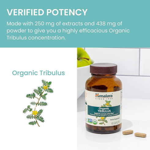 Himalaya Organic Tribulus Terrestris, Herbal Supplement for Urinary Support and Flow, Bladder Function, Prostate Support, Stamina, Male Energy, No...