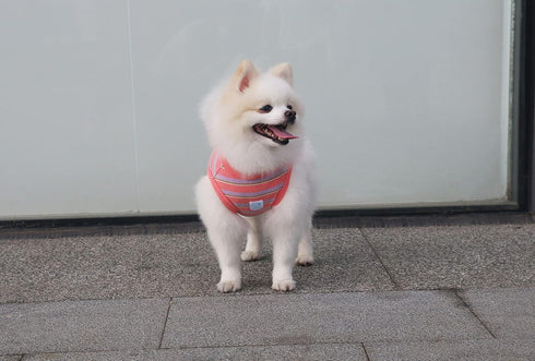 Striped Teacup Pet Dog T-Shirts, 100% Cotton Tank Vest for Small Dogs and Cats, Sleeveless Puppy Clothes for Chihuahua Yorkie Pink, 2X-Small...