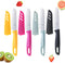 Paring Knife, 4PCS Paring Knife Set with Knife Sheaths, 3.7 inch Stainless Steel Pairing Knife, Ultra Sharp Small Kitchen Vegetable Fruit Knives, ...