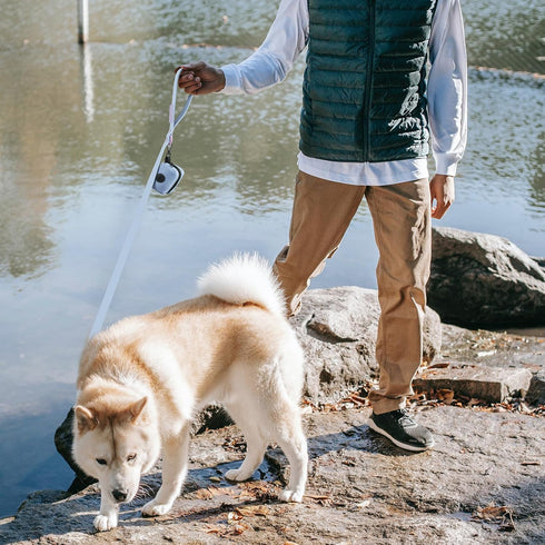 Waterproof Dog Leash Carabiner Leash for Dogs Soft Handle Easy Care 5ft*20mm*2.5mm Light Blue...
