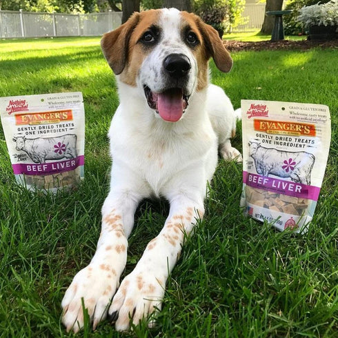 Evanger's Nothing But Natural Gently Dried Beef Liver Treats for Dogs...