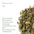 Spearmint Organic Leaf Herbal Tea - Mentha Spicata - Morrocan Nana Mint Spearmint Tea Leaves Spearmint Dried Herb Spearmint Herb Dried Spearmint L...