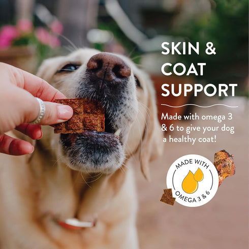 Shameless Pets Jerky Dog Treats, Berry Had A Little Lamb - Healthy Dog Chews for Skin & Coat Support with Omega 3 and 6 - with Real Premium Lamb a...