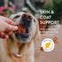 Shameless Pets Jerky Dog Treats, Berry Had A Little Lamb - Healthy Dog Chews for Skin & Coat Support with Omega 3 and 6 - with Real Premium Lamb a...