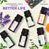 Essential Oils Set by Pure Aroma - Top 6 Aromatherapy Oils Gift Set-6 Pack, 10ml (Eucalyptus, Lavender, Lemongrass, Sweet Orange, Peppermint, Tea ...