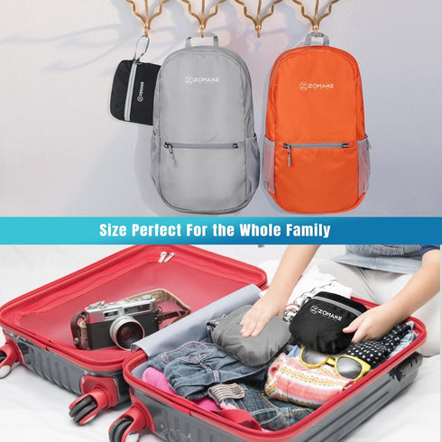 ZOMAKE Ultra Lightweight Hiking Backpack 20L - Packable Small Backpacks Water Resistant Daypack for Women Men(Silver Gray)...