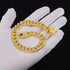 Gold dog chain Diamond Gold chain dog collar Walking Metal Chain Collar with Design Secure Buckle Pet Collar Jewelry Accessories dog necklace for ...