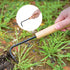 Weeder, Metal Garden Weeding Tool with Wood Handle Mini Weed Puller Cultivator for Digging Edging Planting...
