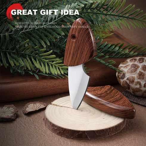 Small Pocket Knife Keychain Knife for Men with Sheath, Box Cutter Knife, EDC Pocket Knives for Outdoor Camping, Gifts for Dad husband Him...