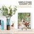 LIONWEI LIONWELI Decorative Plate Stand Holder Picture Frame Stand Easel Display Stand...