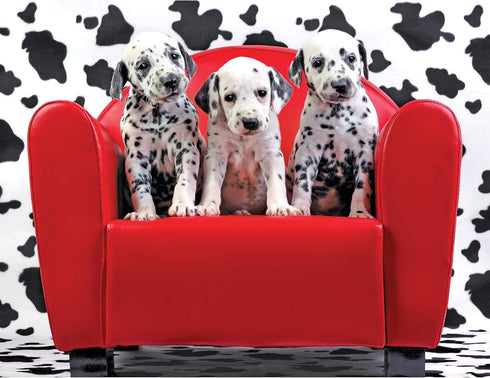 RoseArt - Kodak Premium - Lots of Spots - 100 Piece Jigsaw Puzzle for Adults...