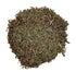 Scarlet Beebalm Herbal Tea, Mountain Balm Herb with Flowers - Made from 100% Monarda Didyma, Cut & Dried - Net weight: 0.5oz/14.2g...