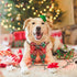 Malier Christmas Dog Collar with Bow tie, Christmas Classic Plaid Dog Collar Soft Durable Holiday Dog Collar for Small Medium Large Dogs Pet Puppy...