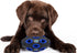 Pets First NCAA Flordia Gators Football Treat Dispensing Toy for Dogs and Cats, Rubber Ball Dog Toy, Interactive Fun Dog Treat Toy, Natural Rubber...