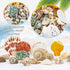 WFPLUS 200+pcs Sea Shells Mixed Ocean Beach Seashells, Various Sizes Natural Seashells Starfish for Fish Tank, Home Decorations, Beach Theme Party...