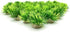 BEGONDIS 40 Pcs Artificial Small Water Plants, Fish Tank Aquarium Grass Decorations, Made of Soft Plastic...